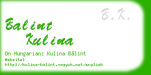 balint kulina business card